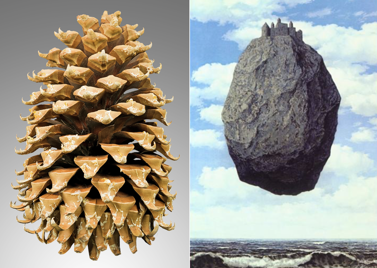 The Pine Cone vs. the Floating Boulder