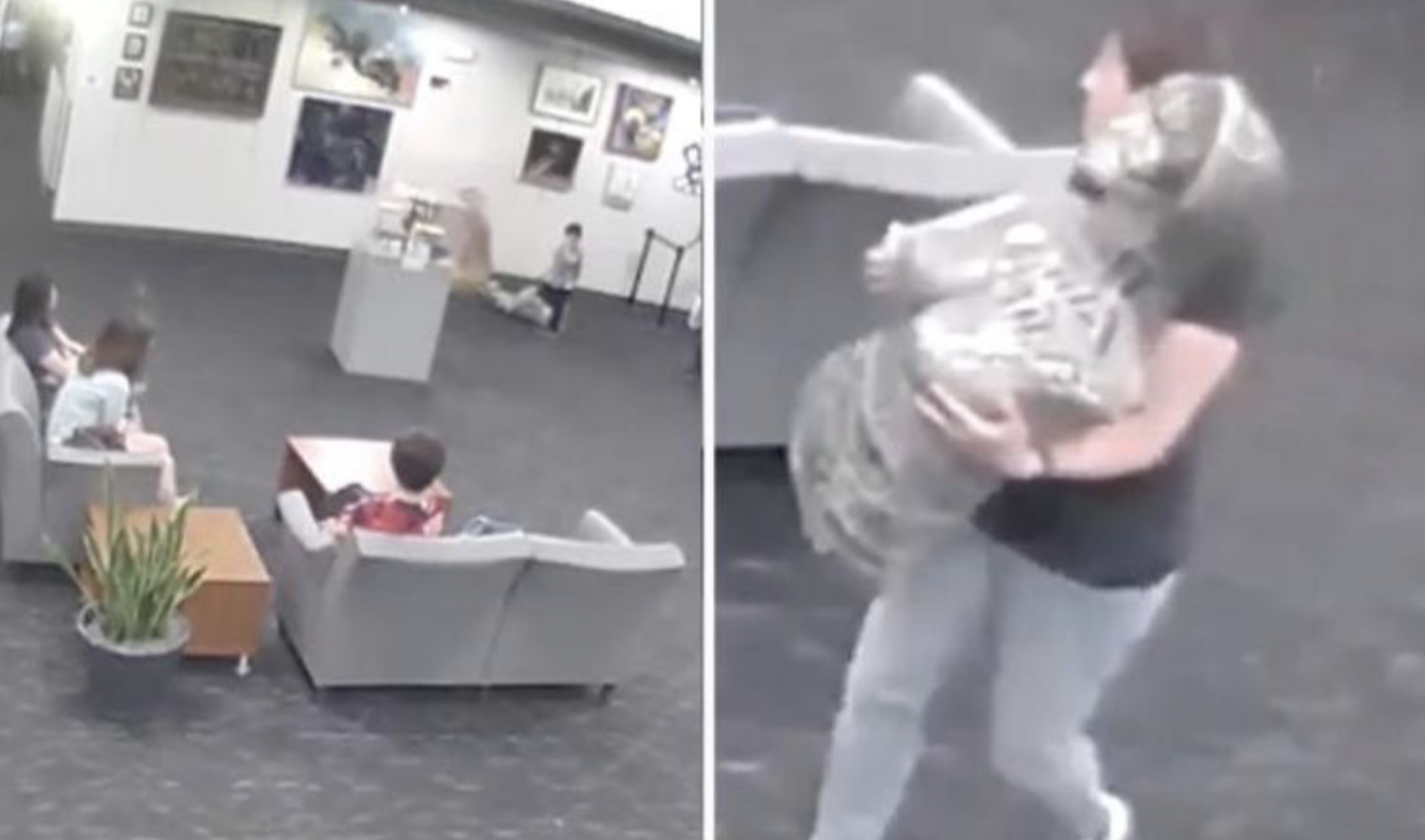 The Hug That Cost $132,000